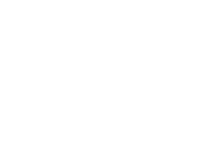 iron eagle property management boise