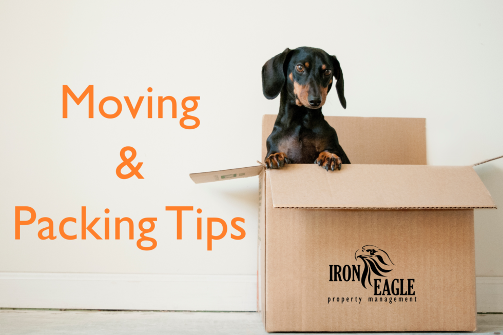 41 Moving and Packing Tips to Make Your Move Dead Simple