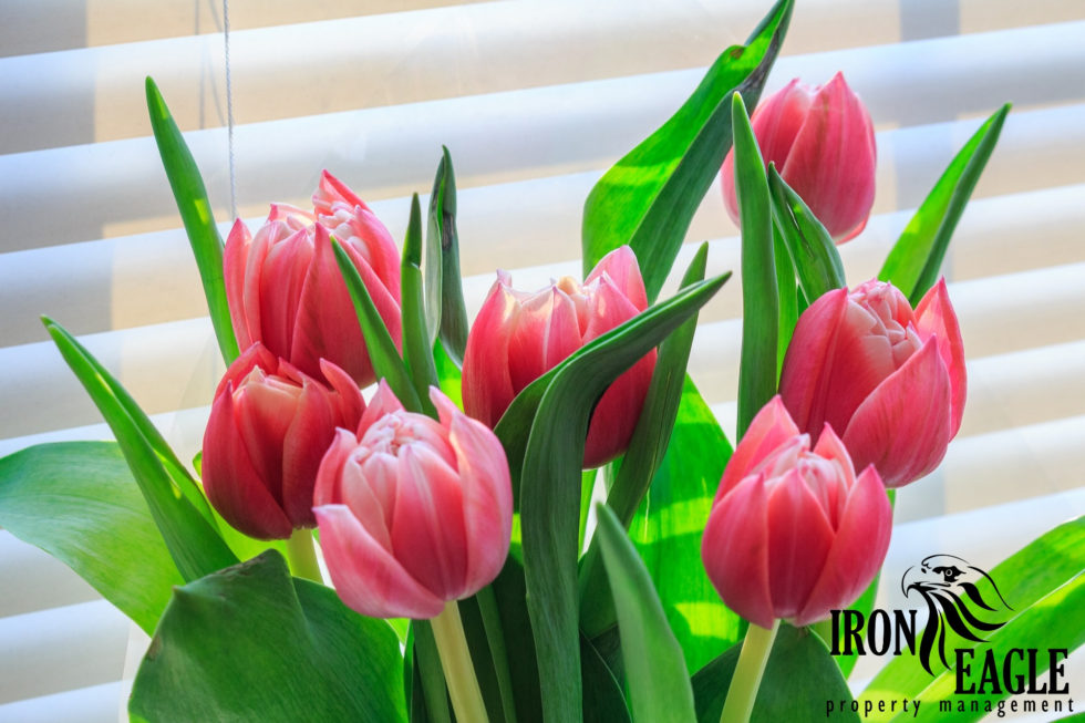 5 Ways To Celebrate Spring In Your Home